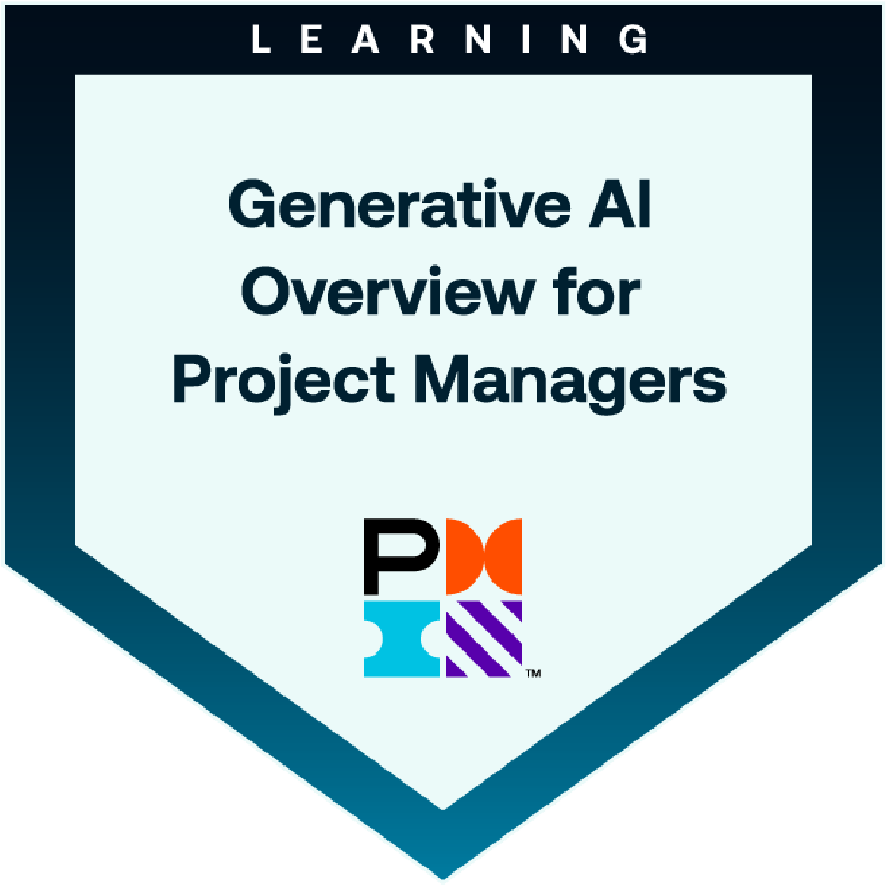 Generative AI Overview for Project Managers